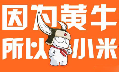 1432200176130291.jpg 小米耍猴耍到國外去了,搶購之路能走多遠