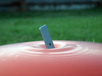 視頻：iPhone 6s Plus與大波波對戰，誰會贏？