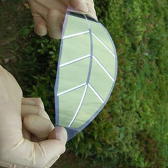 樹葉制成的鈉電池:這可能是鋰電池的完美替代品