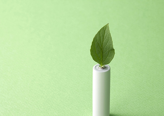 樹葉制成的鈉電池:這可能是鋰電池的完美替代品