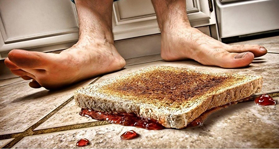 掉在地上的食物能吃嗎？究竟“5秒法則”靠不靠譜