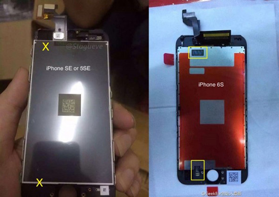 確認無誤！蘋果全新iPhone se將無3D Touch