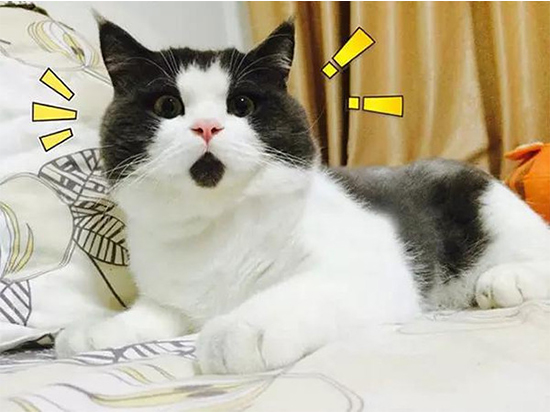 百度云泄密用戶照片可被下載?你應該快去這樣補救