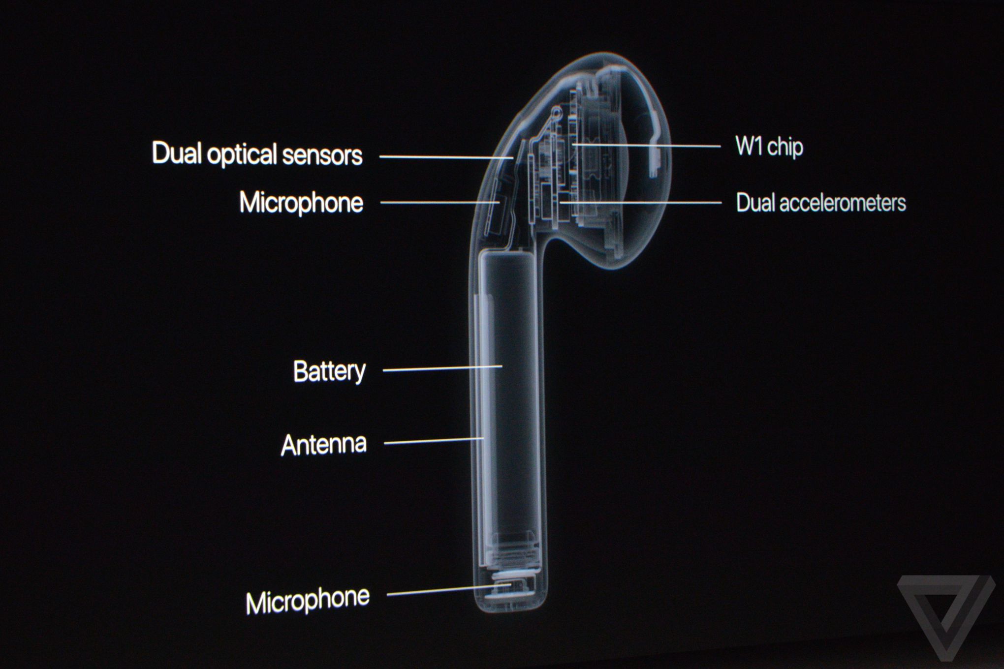 蘋果秋季發布會:除了iPhone 7還有表 就是有點“黑”