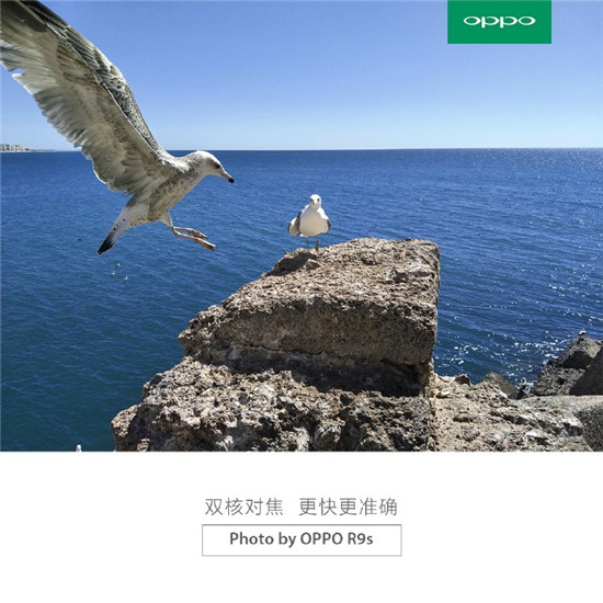 香菇，藍瘦？這些國產(chǎn)王“炸”比Boom7耀眼