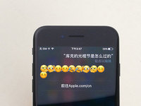 光棍節(jié)拒絕藍(lán)瘦！蘋果Siri要給單身狗特殊服務(wù)