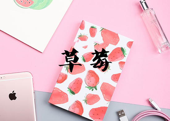 漫漫春運(yùn)路 這些移動(dòng)電源讓歸途不再枯燥無(wú)味