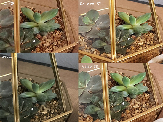 熱騰騰的機(jī)皇拍照對(duì)決！三星S8和iPhone 7你選誰