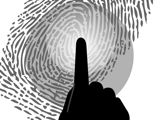 科客晚報：vivo首發屏內指紋識別技術？聯想展示PPT筆記本