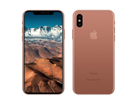 還有什么秘密可言？iPhone 8核心元器件全曝光
