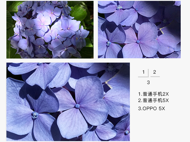 OPPO Find X官方暗示：潛望式5倍無損變焦鏡頭有望首發？
