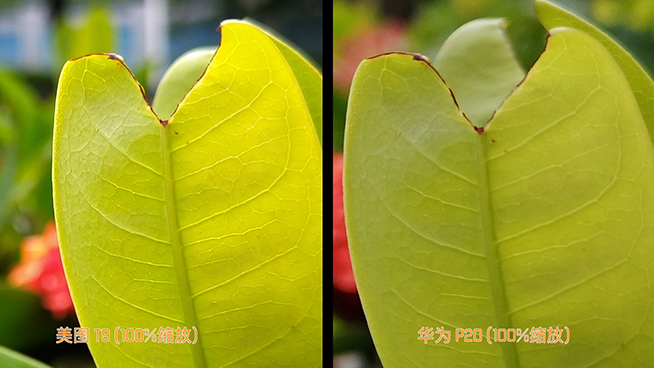 美圖T9華為P20拍照對比:被美顏自拍耽誤了拍照實力派