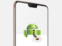 搶先小米華為？一加手機6率先公測Android Pie