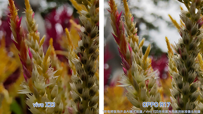 OPPO R17對比vivo X23:拍照清晰度與夜景表現完美超越X23