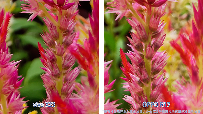 OPPO R17對比vivo X23:拍照清晰度與夜景表現完美超越X23