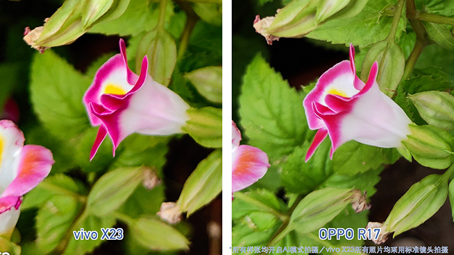 OPPO R17對比vivo X23:拍照清晰度與夜景表現完美超越X23