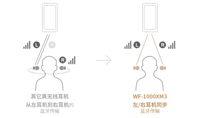 索尼全新“降噪豆”發(fā)布:雙傳輸?shù)脱舆t 國行售價1699元