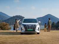 最懂用戶的宜商宜家全能MPV！2024款騰勢(shì)D9正式上市