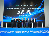 粵港澳大灣區首個“真武”萬卡智算集群上線，國產算力邁入普惠階段